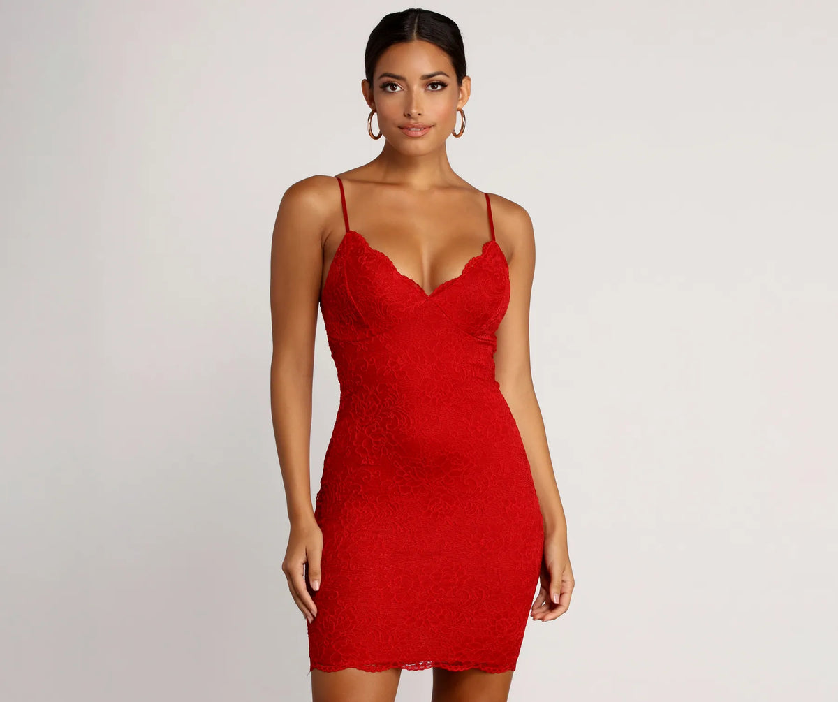 Ravishing Lace Bodycon Dress | Windsor Ravishing Lace Bodycon Dress | Windsor