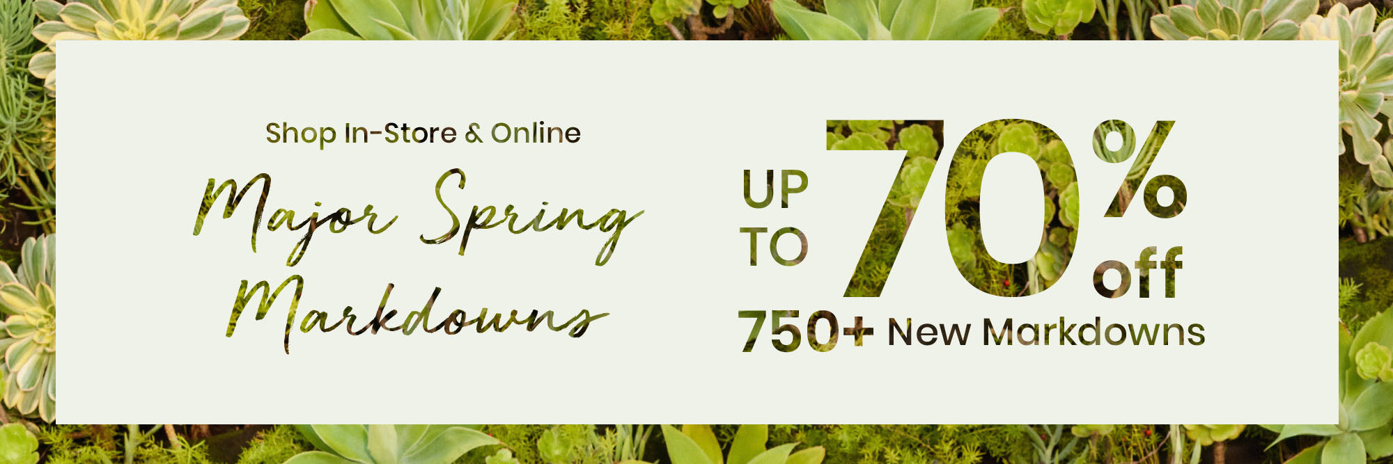 Get up to 70% off on women's clothing for major spring savings including over 750 new markdowns in casual or formal dresses, jeans, skirts, women's tops, heels, & everything you need to create spring outfits affordably!