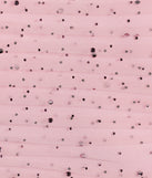 The Arie Strapless Rhinestone A-Line Party Dress is an elegant pink formal dress in a rich seasonal color and with unique design accents that make dressing up for winter parties, holiday balls, or festive gatherings effortless!
