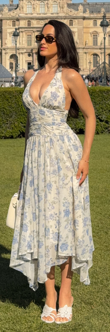 RSVP Pretty Floral Chiffon Maxi Dress