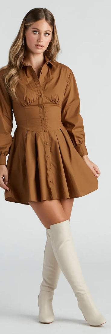 Fall Ritual Poplin Shirt Dress