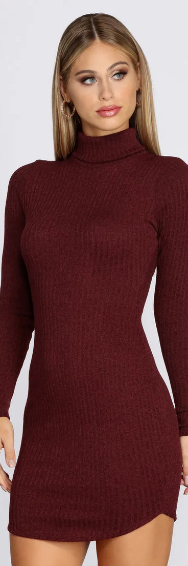 Turtleneck Long Sleeve Ribbed Knit Mini Dress