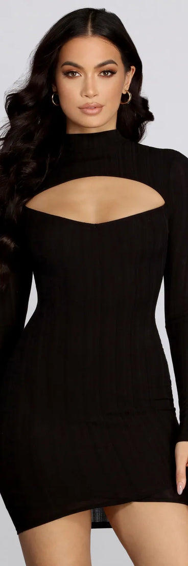 Ribbed Long Sleeve Knit Dress