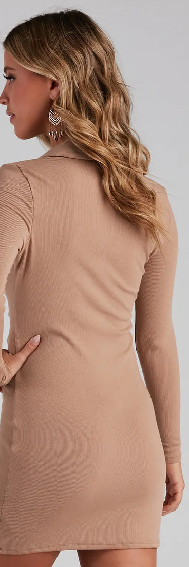 Collared And Chic Button Down Dress