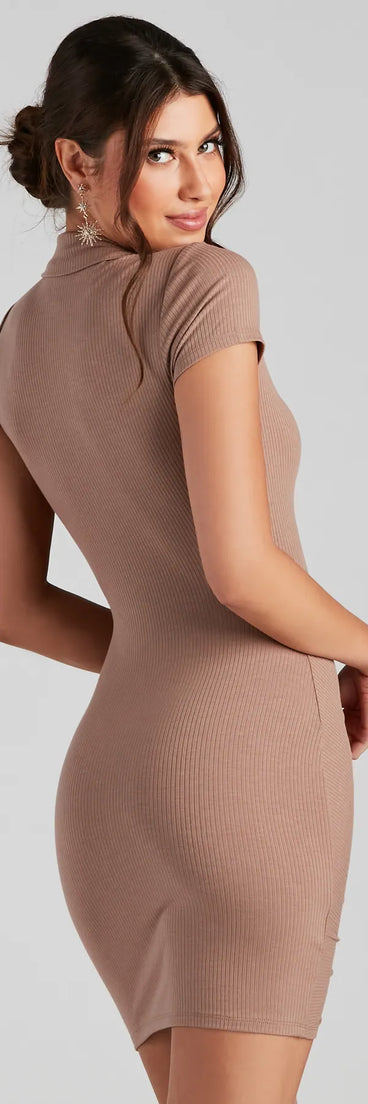 Everyday Perfection Knit Mini Dress