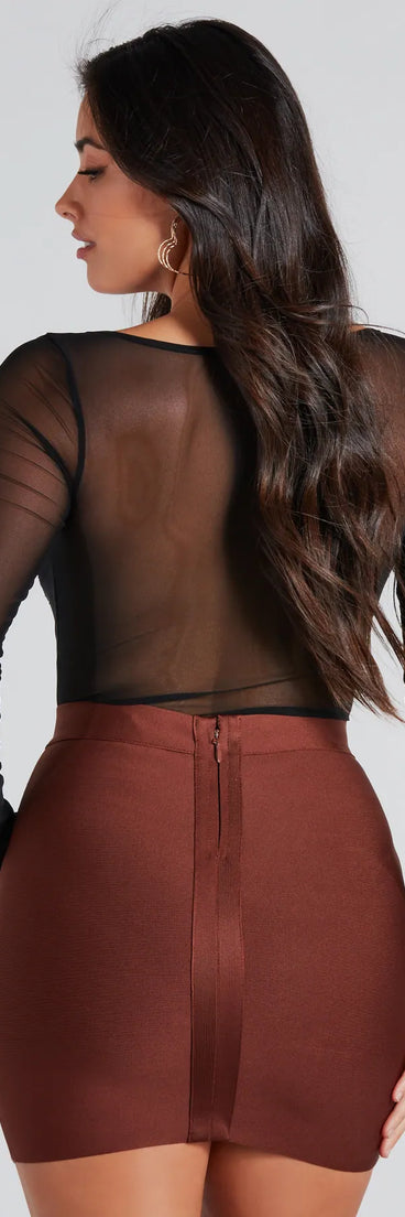 Exquisite Taste Lace Mesh Long Sleeve Bodysuit