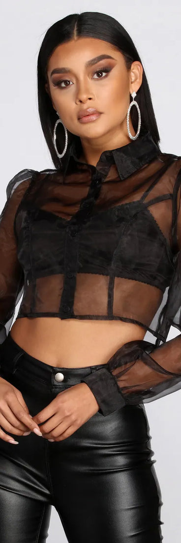 Sheer And Chic Collared Crop Top