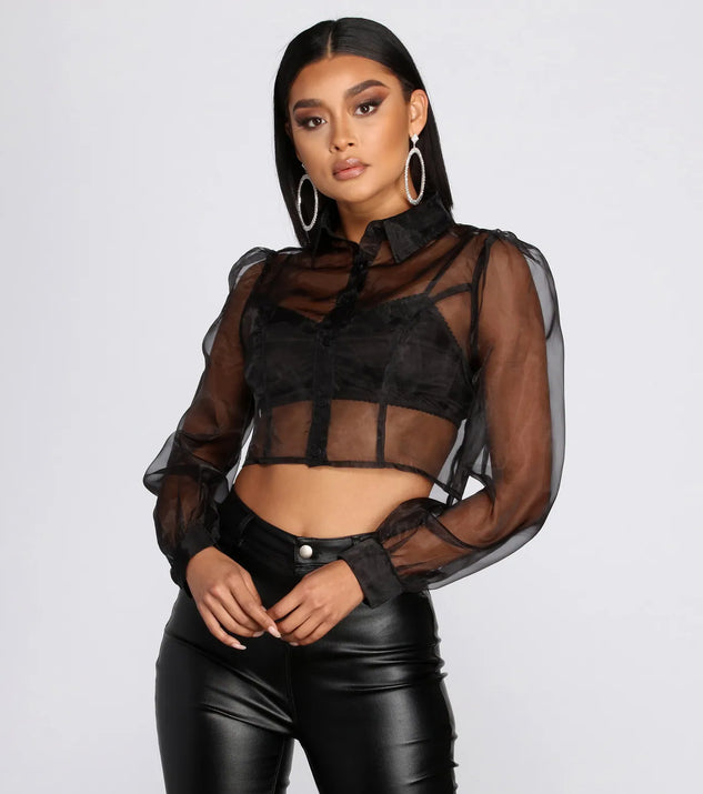Sheer And Chic Collared Crop Top