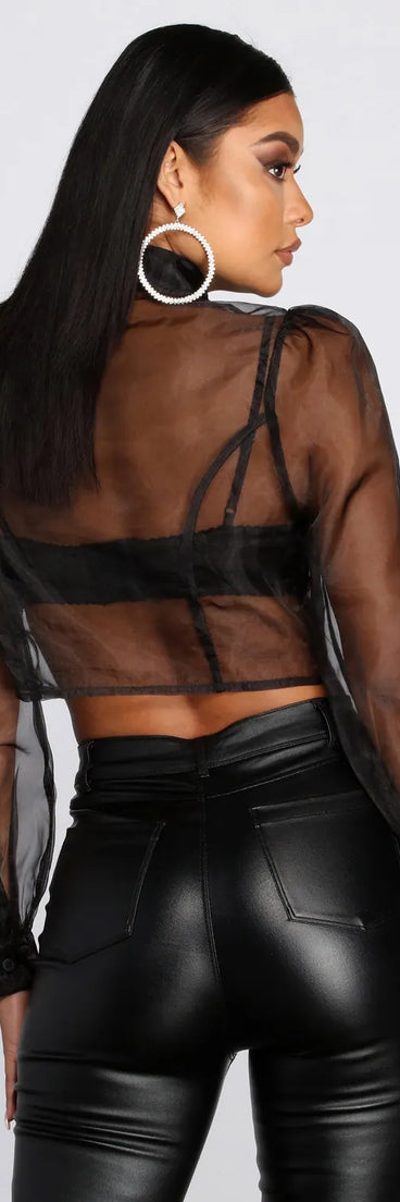 Sheer And Chic Collared Crop Top