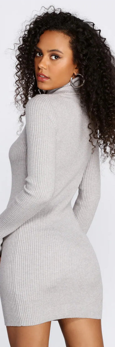 Comfy Cozy Chic Mini Dress