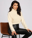 Basic Ribbed Knit Turtle Neck Sweater