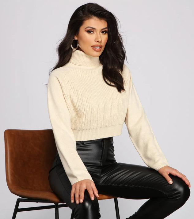 Basic Ribbed Knit Turtle Neck Sweater