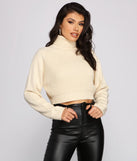Basic Ribbed Knit Turtle Neck Sweater