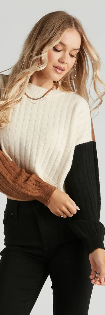 Best Of Friends Color Block Sweater