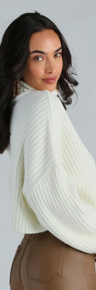 Let's Get Together Turtleneck Crop Sweater