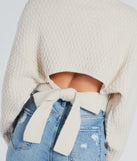 Amp Up The Coziness Mock Neck Cropped Sweater