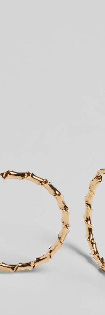 Trendy Twisted Coiled Hoop Earrings