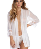 Sheer Appetite Robe & Panty Set