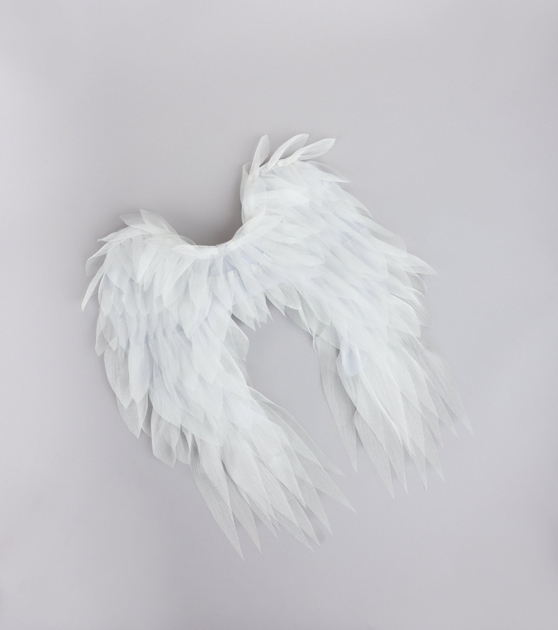 Heaven Sent Angel Wings | Windsor