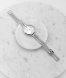Time Flies Mesh Band Watch